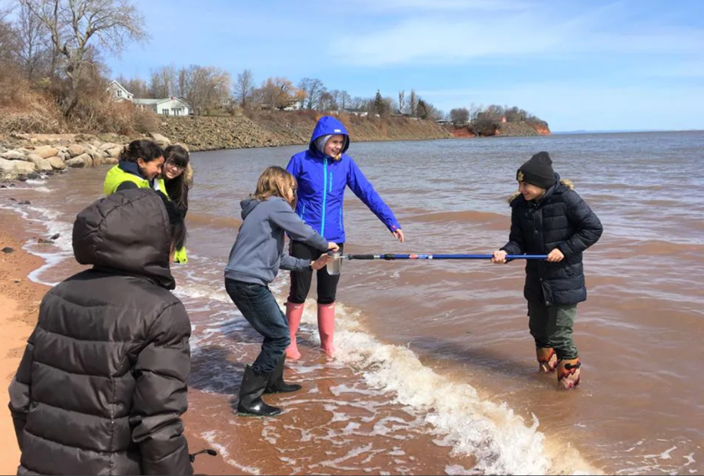 LaHave River Cleanup